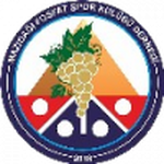 Home Team Logo