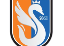 Swan City team logo