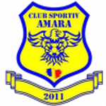 Amara-team-logo