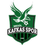 İnegöl Kafkas Gençlik-team-logo