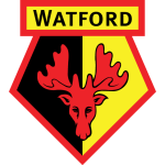Watford Development shield