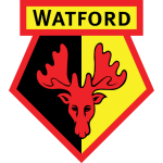 Watford Development team logo