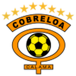 Cobreloa shield