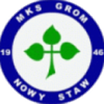 Grom Nowy Staw-team-logo