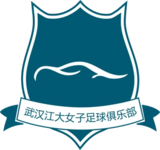 Wuhan Jiangda W-team-logo