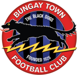 Bungay Town