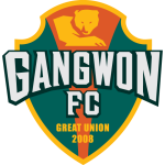 Gangwon FC shield