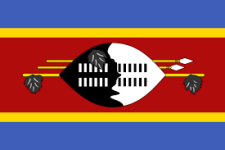 Eswatini Logo