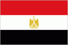 Egypt-team-logo