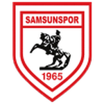 Samsunspor shield