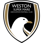 Weston-super-Mare shield