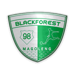 What do you know about Black Forest team?