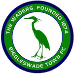 Biggleswade Town shield