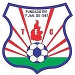 Home Team Logo