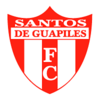 Santos DE Guapiles shield