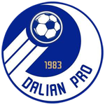Dalian Aerbin shield