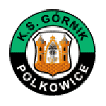 Górnik Polkowice shield