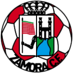 Zamora shield