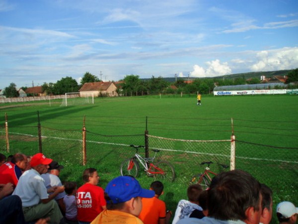 Lịch thi đấu tại Stadionul Şoimii