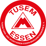 Essen logo