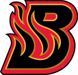 Bloomington Blaze