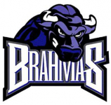 Fort Worth Brahmas