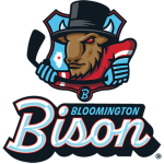 Bloomington Bison