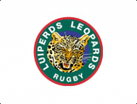 Leopards