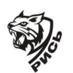 Escudo de Rys-DYUSSh W