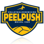 Summa Peelpush W logo